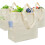 Sacola de lona resistente com bolsos (pacote com 3) 1