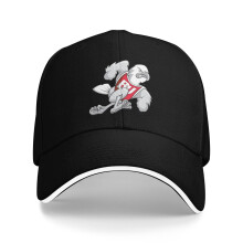 Biola University baseballpet unisex dad hat