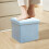 Blue Blue Foldable Storage Stool For Adults With Spacious Interior And Elegant Look 5