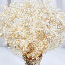 6000+ Dried Baby's Breath Bulk – 17" Ivory Gypsophila for Vase Filler, Wedding, Centerpiece, Home Decor, DIY Wreath; compatible with floral crafts