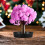 Stable Mini Tree Stand with Round Base, Black Plastic, 48 Pieces for Crafting and Projects 4