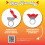 Ταΐστρα Hummingbird Ring Red για Αυλή 3