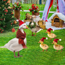 Qocolhg5-teilige Weihnachtsenten-Gartenstecker mit Weihnachtsmannmütze – Lebensechte Gartendekoration für Rasen, Wege und Bauernhof (Für den