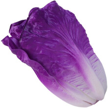 Légumes artificiels, faux légumes, laitue artificielle, modèles de légumes décoratifs violets réalistes, accessoires de présentation