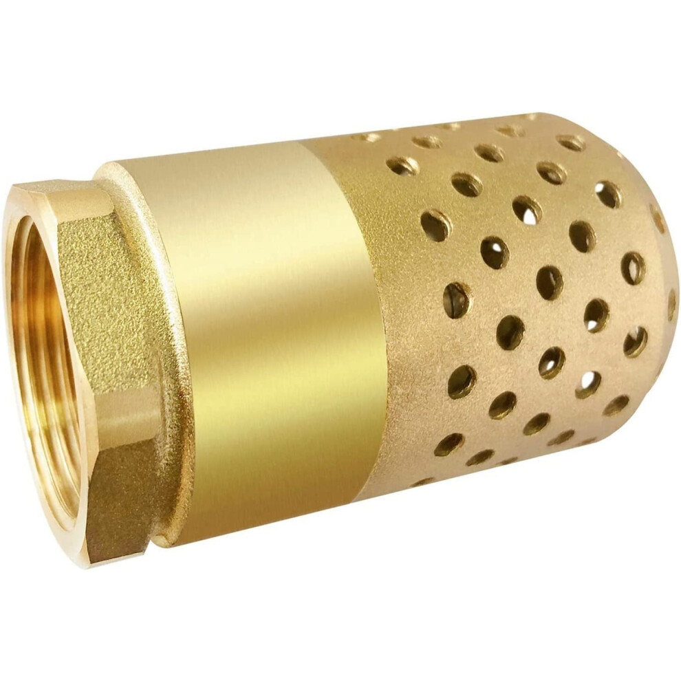 Brass 1" Npt Foot Valve With Strainer Filter, Heavy-Duty Spring Mesh Check Valve, One-Way Backflow Preventer For Well Jet Pumps (Compatible With 1'' 9083649335666