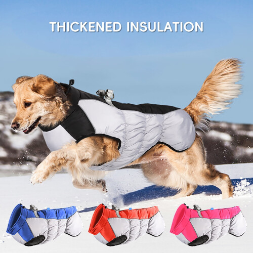 Gesteppter Hundewintermantel – Winddicht & Warm 1
