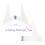 Support Ceintures Championnat Transparent Base Stable 8