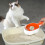 Multifunction Large Cat Litter Scoop - Plastic 14