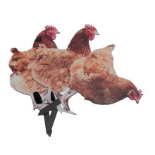 3 pz Spiedini di gallina realistici, Segnali da giardino in acrilico, Decorazioni da esterno