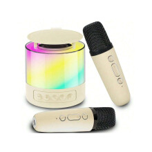 Wireless Karaoke Speaker Set with Mics and Voice Effects