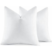 Garnitures d'oreiller en plumes de duvet 40 x 40 cm (lot de 2)