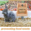 Support Foin Bois Naturel Pour Petits Animaux Jaune Clair 9