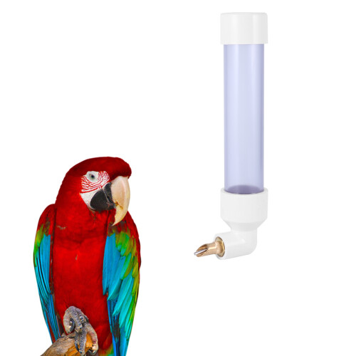 Fontaine À Pour Perroquets Compatible Cages 1