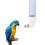 Fontaine À Pour Perroquets Compatible Cages 3