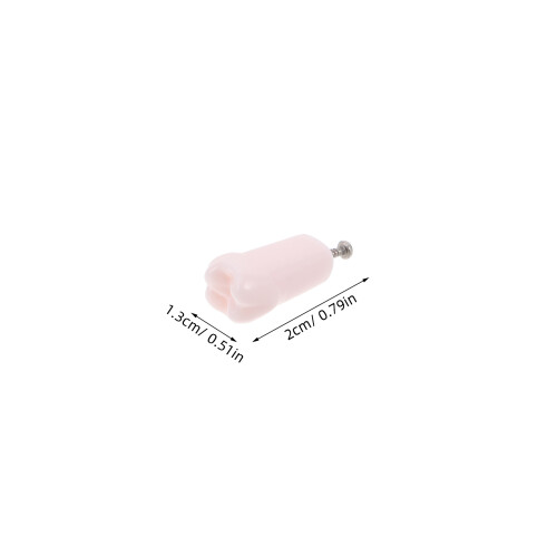 24Pcs Multi Resin Practice Teeth Teaching Typodont Model 1