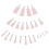 24Pcs Multi Resin Practice Teeth Teaching Typodont Model 7