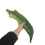 1Plush Okra Knuffelvormig Grappig Woonkamer 4