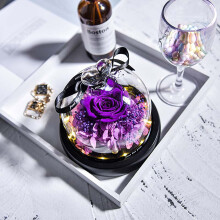 Rose violette véritable préservée sous cloche en verre avec lumière LED – Cadeau unique pour elle, maman, grand-mère, épouse, petite amie –