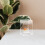Transparent Acrylic Betta Tank Desktop Aquarium Durable Multi- Decor 8