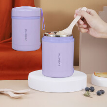USB-verwarmende lunchbox van 304 roestvrij staal, grote inhoud, geïsoleerde voedselcontainer voor kantoor en buitengebruik, draagbare thermische