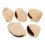 5Pièces Coquille Beige Shaker Musical Pour Créatifs 1