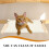 1Set Multi Kleuren Kat Raamhangmat Bed 6