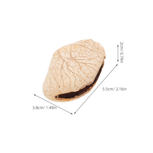5Pièces Coquille Beige Shaker Musical Pour Créatifs 1