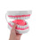 De Bouche En PVC Pour Formation Orale Éducative 4