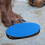 Ongles Pour Petits Grands Animaux 5