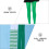 2Pièces Collants Femme Vert Polyester Motif Trèfle Pour 4