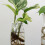 Porte- En Fer Base Vase Pour Usage 7