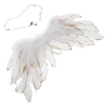 1Set Wings Photo Props Headband Newborn Set