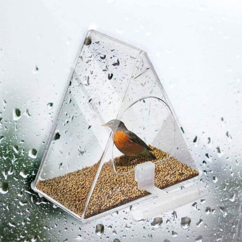 Acrylic bird feeder with suction cup and chain 2