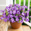 Fiori artificiali realistici in seta a 7 teste 1