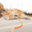 Katzenkauseil mit Katzenminze, 70 cm, Orange 1