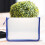 Pochette transparente A4 à fermeture éclair pour classeurs (1 pièce) 4