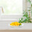 Delicate Glass Tea Coasters Clear Cup Mats for Everyday 7
