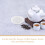 Delicate Glass Tea Coasters Clear Cup Mats for Everyday 8