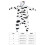 1Pièces Chemise Flanelle Vache Animé 3