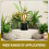 6Pcs Golden Kids Trophy Model for Competition Decor 10