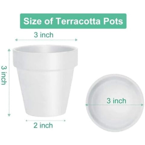 Hvide terrakotta lerpotter med underkop 7,5 cm, 12-pak 1