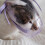 Muzzle Cats Face Guards Mask Bitingproof Cats Muzzle for Grooming Breathable Mouth Cover Transparent PVC Muzzle 4