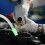 PVC Watersifonslang Met Voor Voertuig-Urea 8