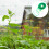 Filet 1X Support Jardin Vert Résistant Polyéthylène Multifonction 11