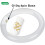 Lâmpada fluorescente circular de 8 polegadas, 22 W, 4100 K, branco frio (pacote com 2). 4