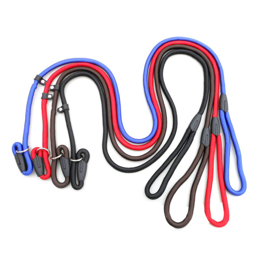 Laisse Nylon Bleue Pour Chien Robuste Adaptable Et Réglable