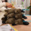 Brinquedo de Pelúcia Ornitorrinco Fofo e Realista de 30 cm (12 polegadas) Cor Café 6