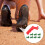 1Ensemble Pointes Vertes En Acier Pour Chaussures Athlétisme 7