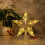 Étoile LED décorative pour sapin de Noël 3