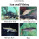 Pre-Loaded Jig Head Soft Baits Bluegill Paddletail 6 Pack 6